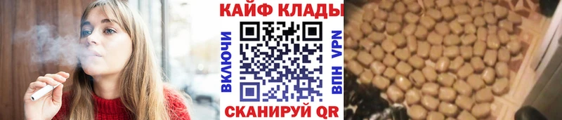 Купить закладку Метадон  Каннабис  Псилоцибиновые грибы  APVP  ГАШ  Мефедрон  Кокаин  Тара